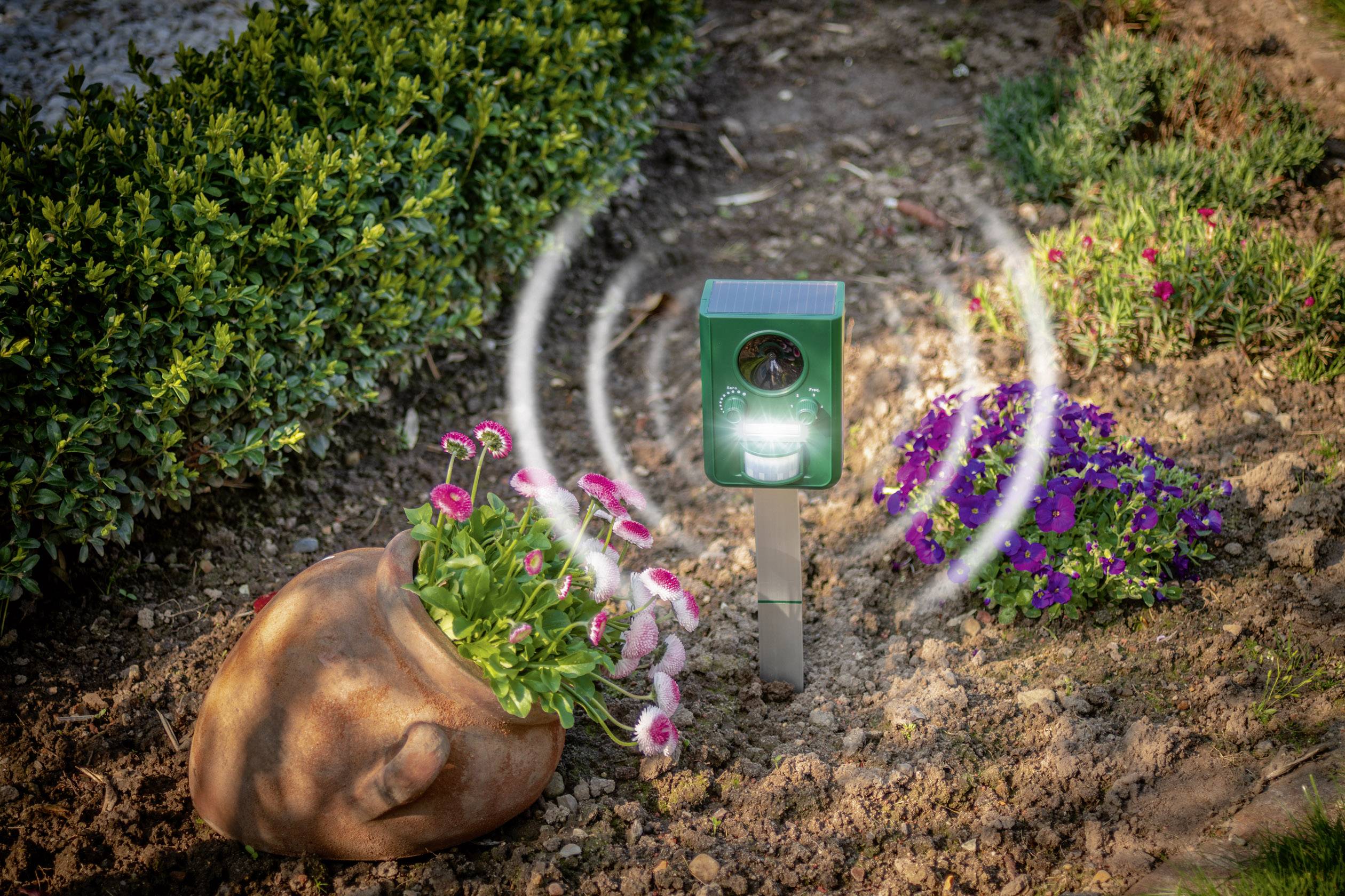 Gardigo Solar Tiervertreiber Funktionsart Multifrequenz, LED-Licht Wirkungsbereich 100 m² 1 St.