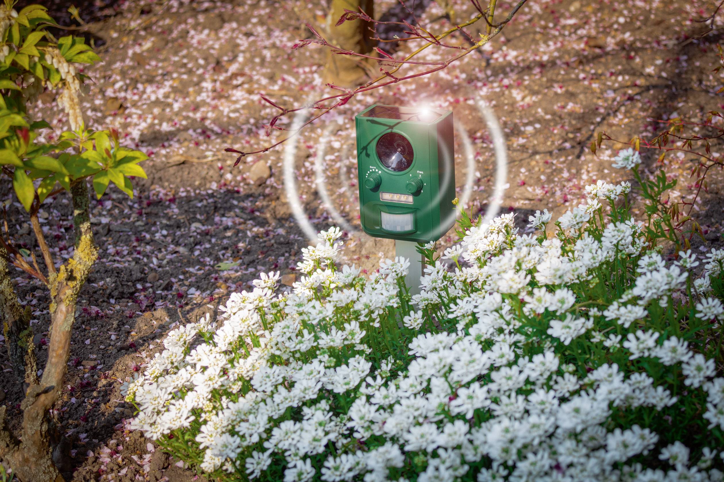 Gardigo Solar Tiervertreiber Funktionsart Multifrequenz, LED-Licht Wirkungsbereich 100m² 1St.