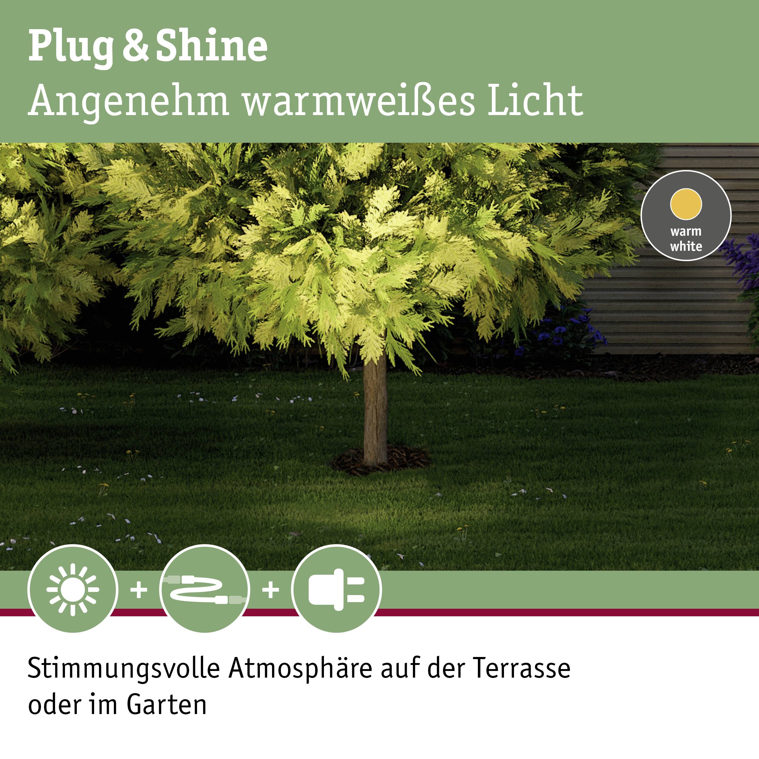 Paulmann 93908 Beleuchtungssystem Plug & Shine LED-Außeneinbauleuchte LED 6W Warmweiß Silber