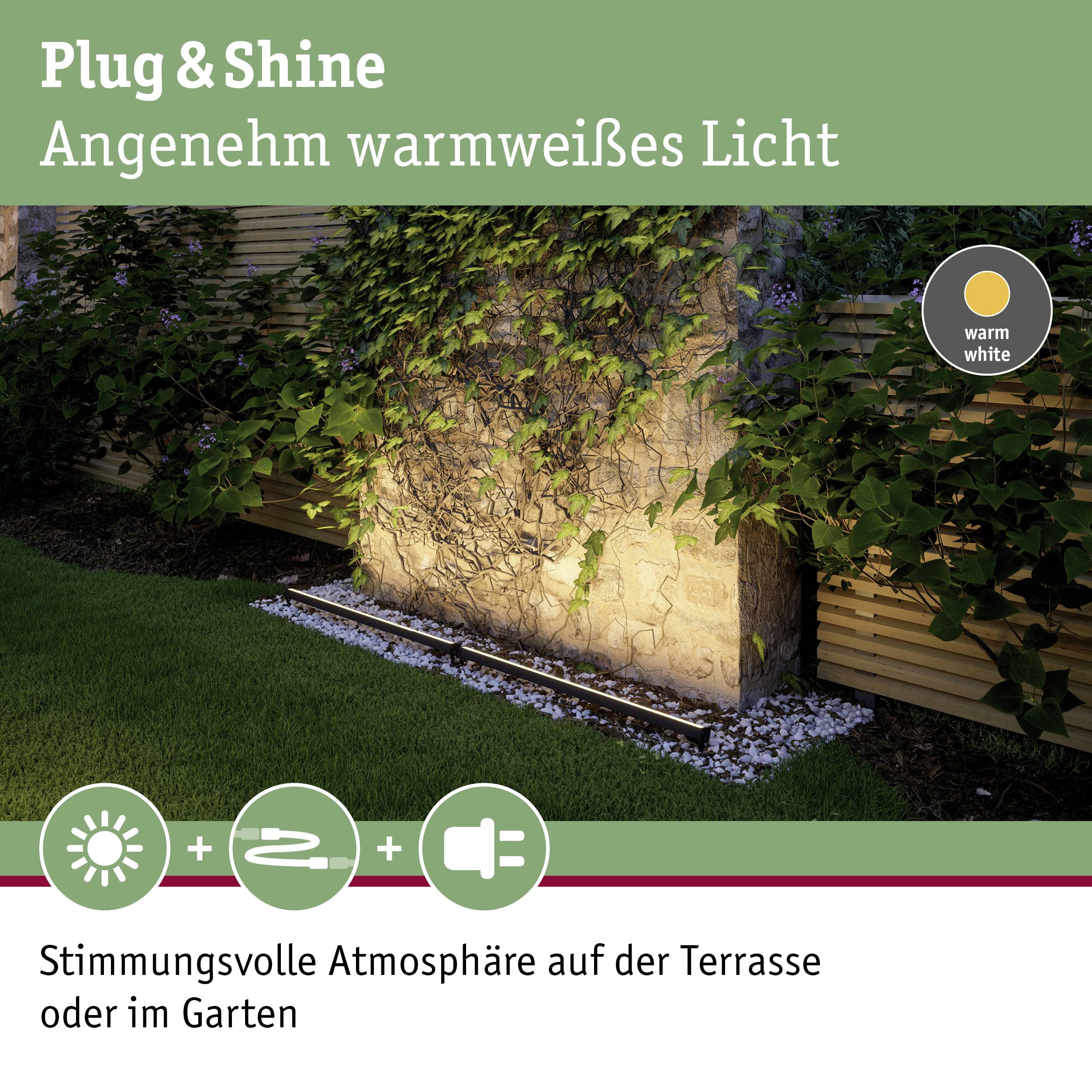 Paulmann Plug & Shine 93922 Beleuchtungssystem Plug & Shine LED-Aufbauleuchte LED 8W Warmweiß Anthrazit