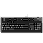 Perixx Periboard-517 B USB Tastatur Deutsch, QWERTZ Schwarz Staubgeschützt, Spritzwassergeschützt