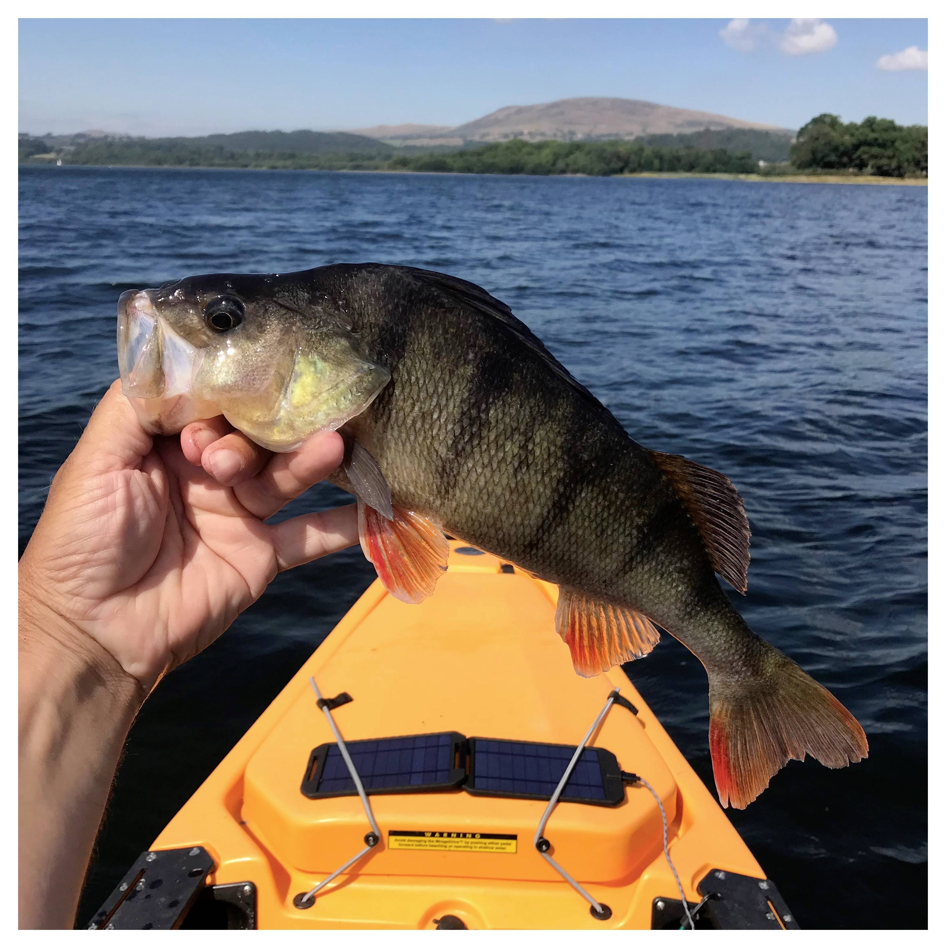 Power Traveller Extreme Solar PTL-EXTSL001 Solarpanel Ladestrom Solarzelle 1000mA 5W