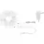 Paulmann SimpLED 78975 LED-Streifen-Komplettset mit Stecker 12V 5m Tageslichtweiß 1St. Paulmann SimpLED 78975 LED-Streifen-Komplettset mit Stecker 12V 5m Tageslichtweiß 1St.