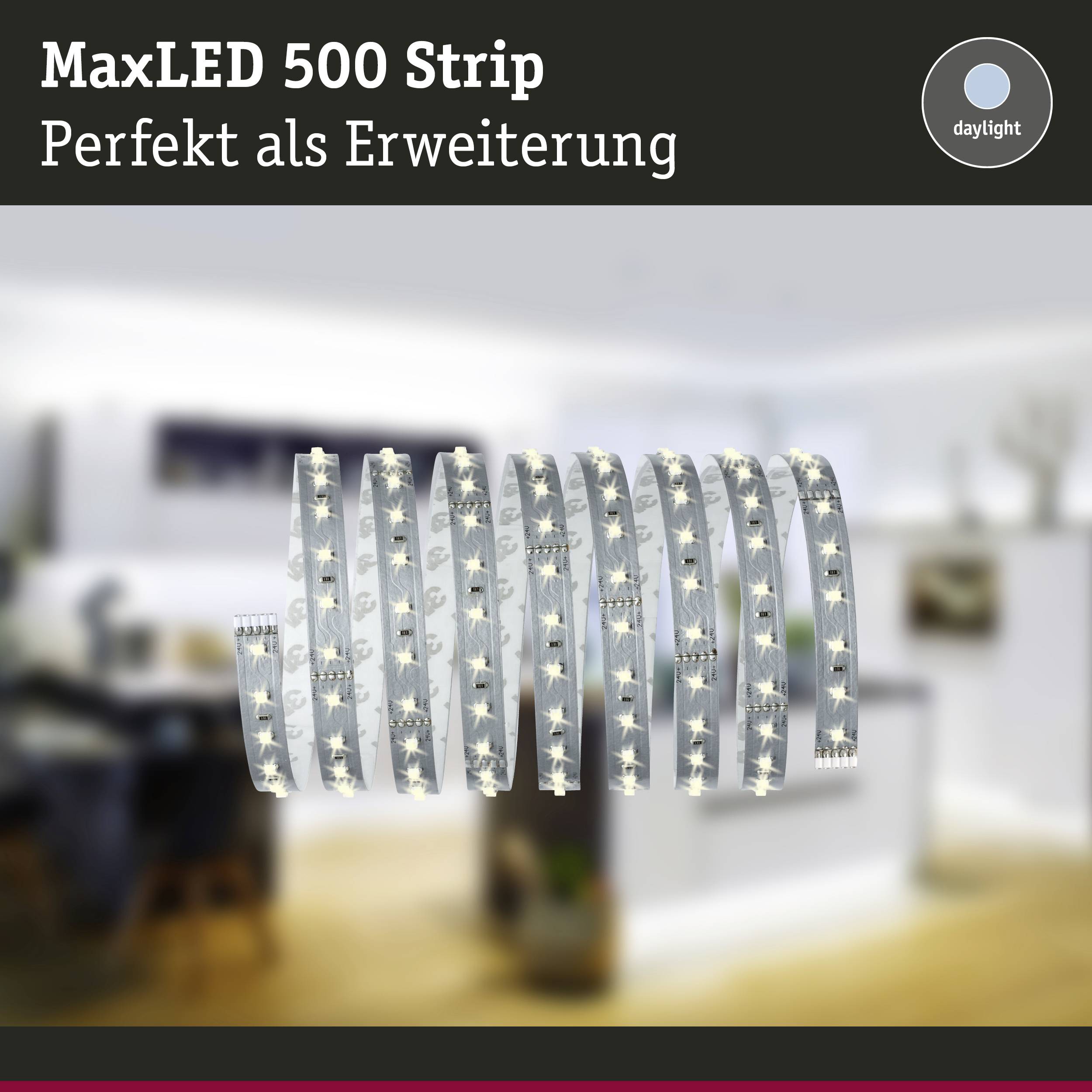 Paulmann MaxLED 500 70828 LED-Streifen-Erweiterung mit Stecker 24V 2.5m Tageslichtweiß 1St.