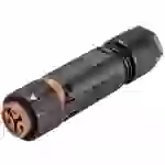 Wieland Electric 46.031.4551.4 Rundstecker Kupplung, gerade Gesamtpolzahl: 2 Serie (Rundsteckverbinder): RST® MINI 1St. Wieland Electric 46.031.4551.4 Rundstecker Kupplung, gerade Gesamtpolzahl: 2 Serie (Rundsteckverbinder): RST® MINI 1St.