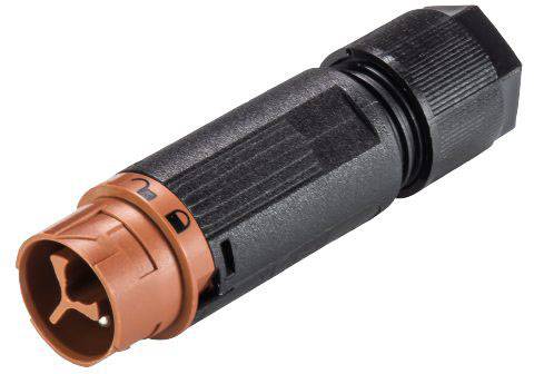 Wieland Electric 46.032.4551.4 Rundstecker Stecker, gerade Gesamtpolzahl: 2 Serie (Rundsteckverbind