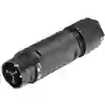 Wieland Electric 46.032.4553.1 Rundstecker Stecker, gerade Gesamtpolzahl: 2 + PE Serie (Rundsteckverbinder): RST® MINI 1St. Wieland Electric 46.032.4553.1 Rundstecker Stecker, gerade Gesamtpolzahl: 2 + PE Serie (Rundsteckverbinder): RST® MINI 1St.