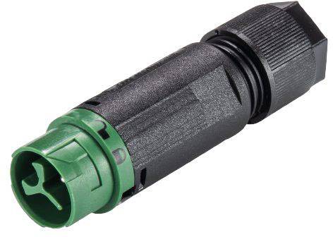 Wieland Electric 46.032.4555.7 Rundstecker Stecker, gerade Gesamtpolzahl: 2 + PE Serie (Rundsteckverbinder): RST® MINI 1St.