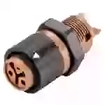 Wieland Electric 46.031.5051.4 Rundstecker Buchse, Einbau Gesamtpolzahl: 2 Serie (Rundsteckverbinder): RST® MINI 1St. Wieland Electric 46.031.5051.4 Rundstecker Buchse, Einbau Gesamtpolzahl: 2 Serie (Rundsteckverbinder): RST® MINI 1St.