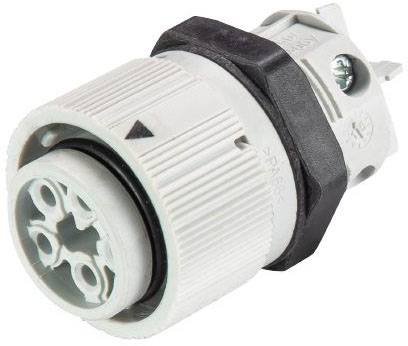 Wieland Electric 46.051.5054.0 Rundstecker Buchse, Einbau Gesamtpolzahl: 3 + PE Serie (Rundsteckverbinder): RST® MINI 1St.