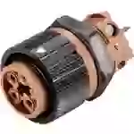 Wieland Electric 46.051.5050.4 Rundstecker Buchse, Einbau Gesamtpolzahl: 5 Serie (Rundsteckverbinder): RST® MINI 1St. Wieland Electric 46.051.5050.4 Rundstecker Buchse, Einbau Gesamtpolzahl: 5 Serie (Rundsteckverbinder): RST® MINI 1St.