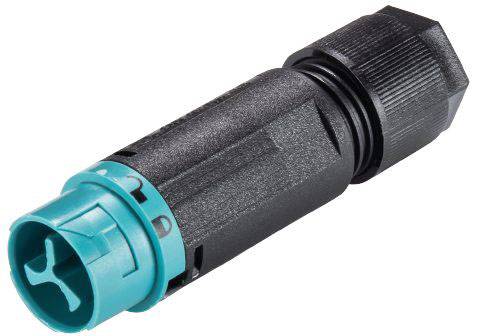 Wieland Electric 46.032.4551.6 Rundstecker Stecker, gerade Gesamtpolzahl: 2 Serie (Rundsteckverbinder): RST® MINI 1St.