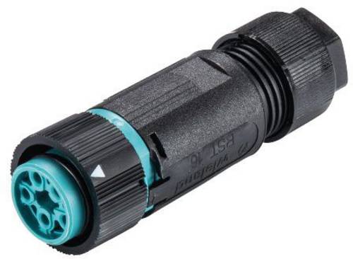 Wieland Electric 46.051.4553.6 Rundstecker Kupplung, gerade Gesamtpolzahl: 4 + PE Serie (Rundsteckv