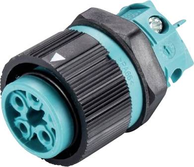 Wieland Electric 46.051.5053.6 Rundstecker Buchse, Einbau Gesamtpolzahl: 4 + PE Serie (Rundsteckver