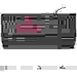Trust GXT 860 Thura Semi-Mechanical USB Gaming-Tastatur Beleuchtet, Handballenauflage Deutsch, QWERTZ, Windows® Schwarz