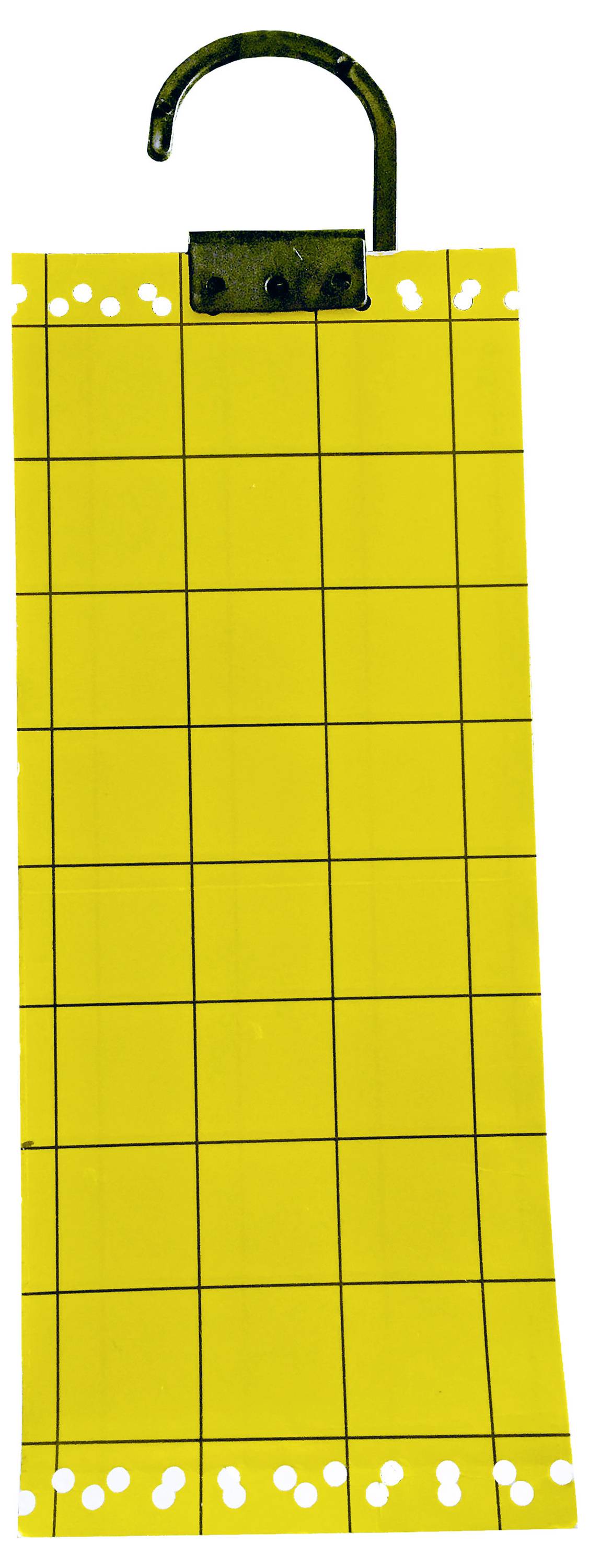 Swissinno NaturalControl 1 249 235 Insekten-Klebetafel Klebefolie, Lockstoff (L x B) 240mm x 100mm 5St.