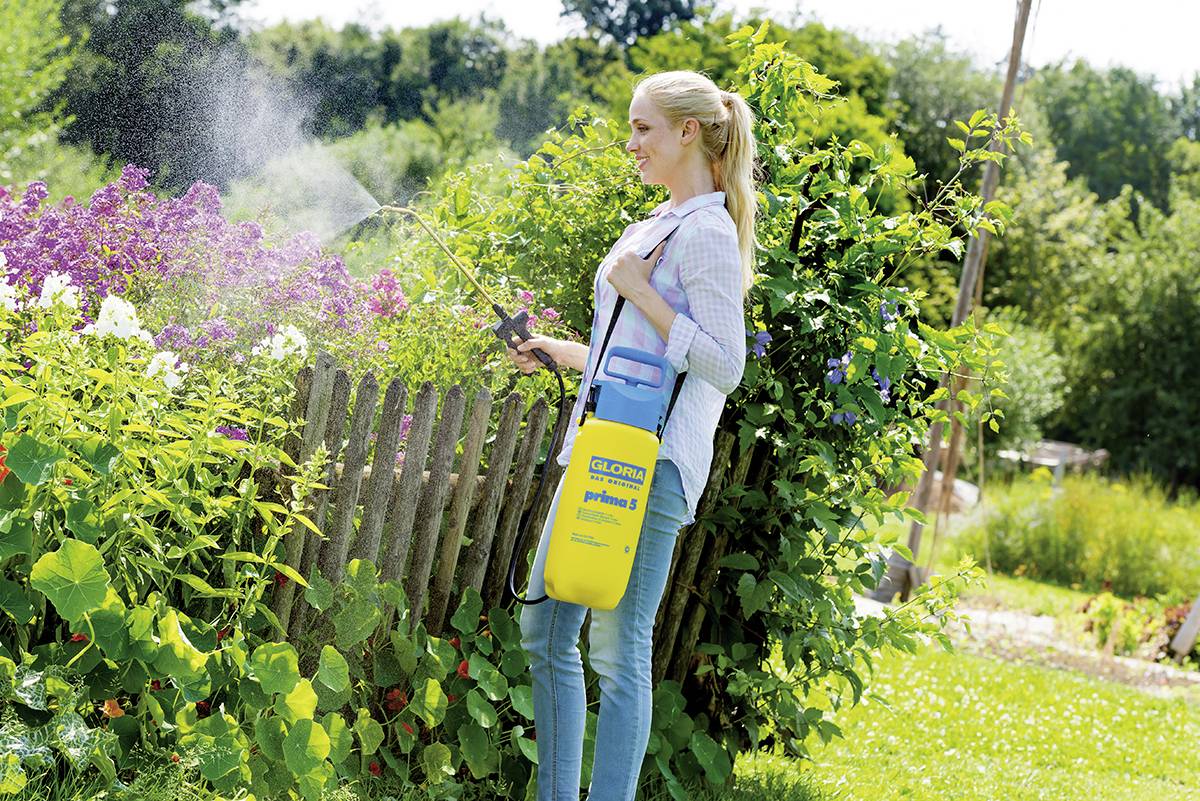 Gloria Haus und Garten 000080.0000 prima 5 Drucksprüher 5l