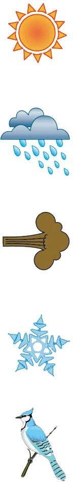 HP Autozubehör 18235 Outdoor Ganzgarage (L x B x H) 457 x 165 x 119 cm Passend für (Auto-Marke): Universal