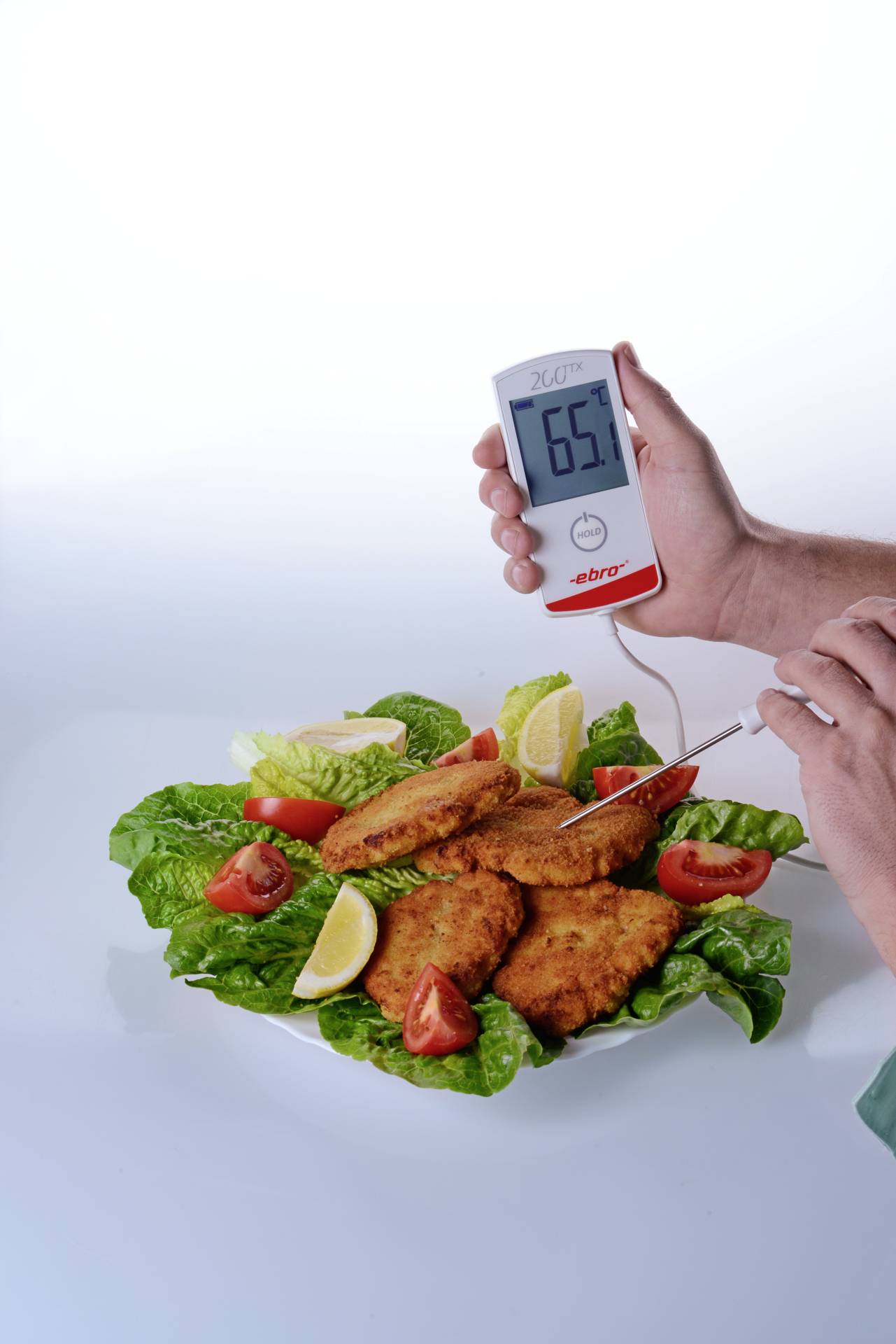 Ebro TTX 200 Einstichthermometer (HACCP) Messbereich Temperatur -30 bis +200°C HACCP-konform, IP65