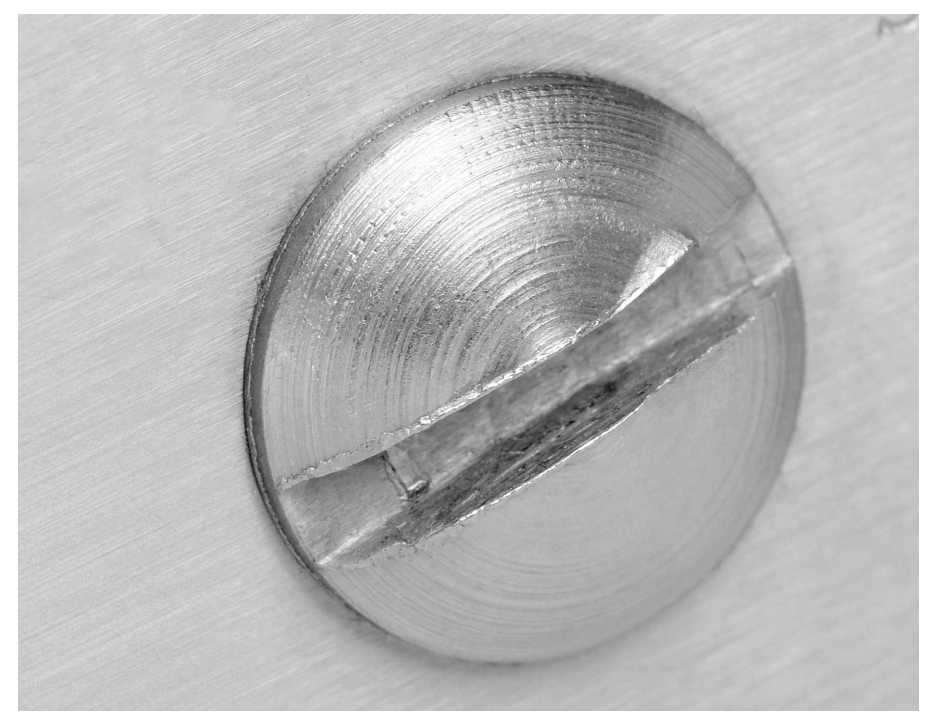 Nahaufnahme einer Metallschraube in Holz eingedreht, zeigt die schraubenförmige Rille und den glänzenden Kopf im Detail.