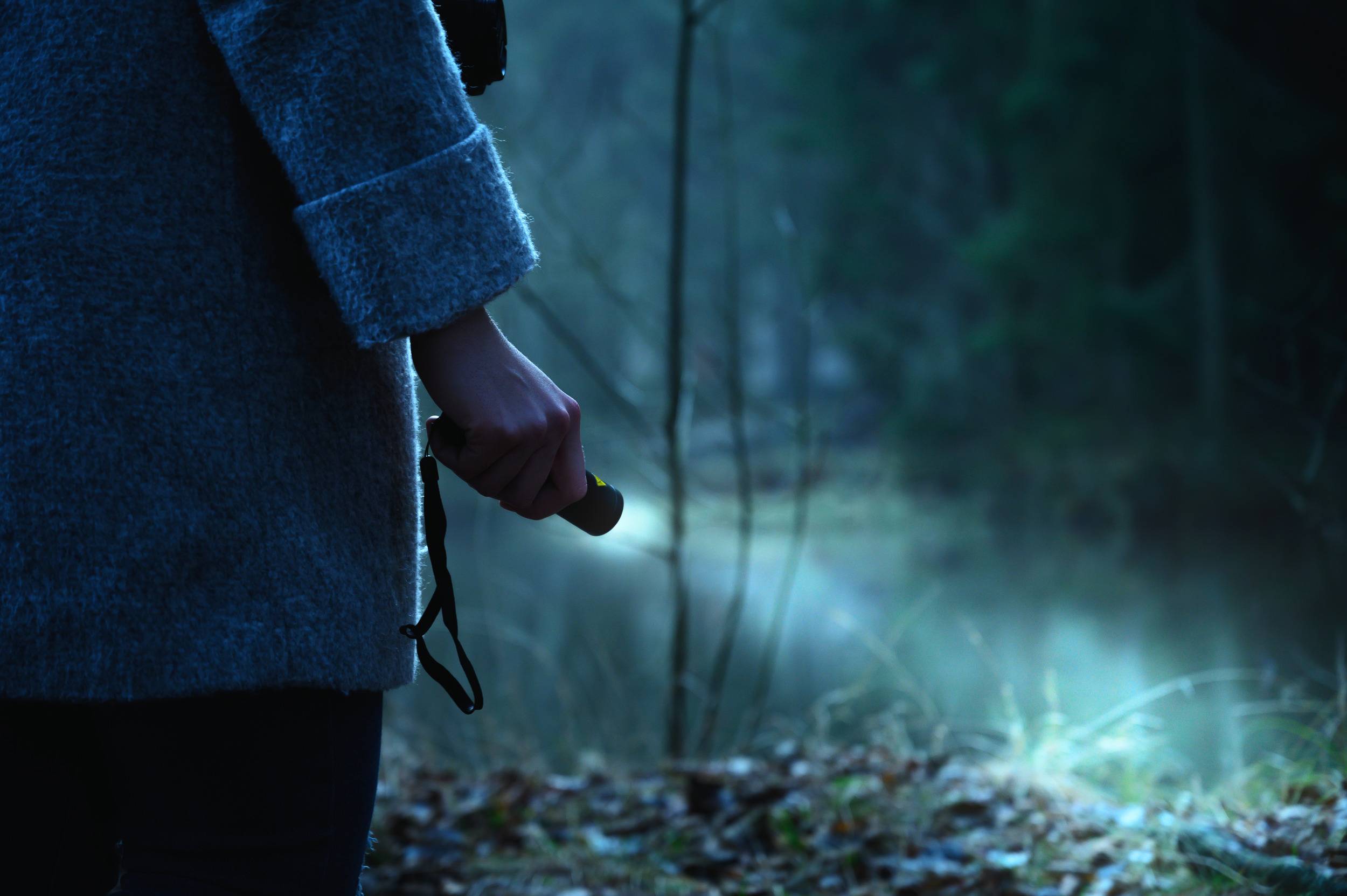Eine Person beleuchtet mit einer Taschenlampe einen dunklen Wald, der Nebel ist leicht sichtbar und erzeugt eine geheimnisvolle Atmosphäre.