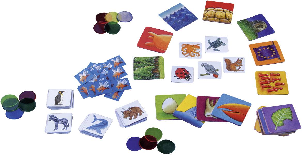 Kosmos Können Schweine fliegen?