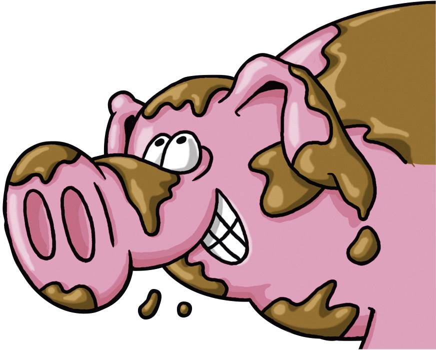 Kosmos Kartenspiel Drecksau 740276 Anzahl Spieler (max.): 4