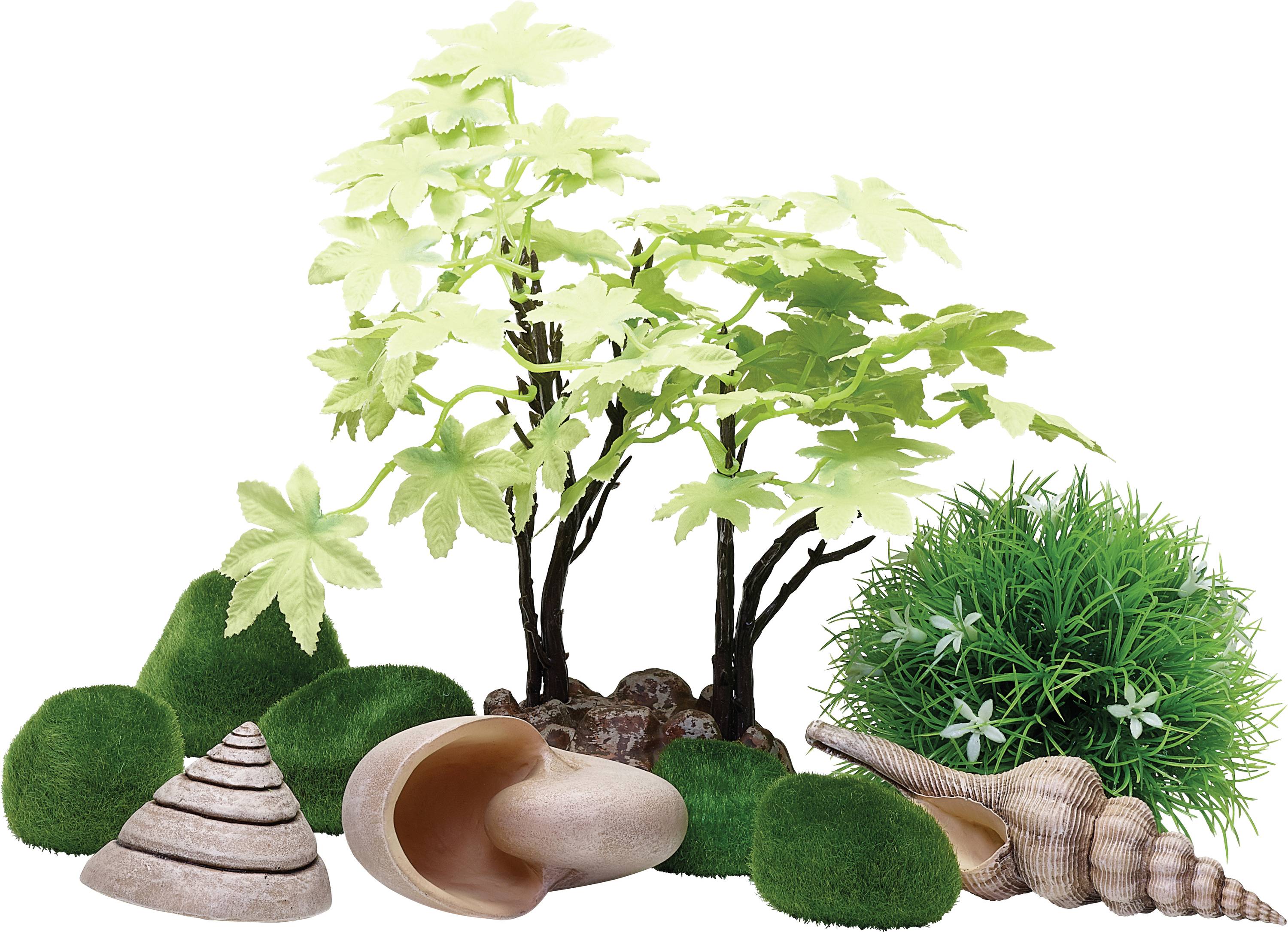 Eine kleine dekorative Anordnung mit grünen Pflanzen, einem Miniaturbaum, künstlichem Rasen und Muscheln vor einem weißen Hintergrund.