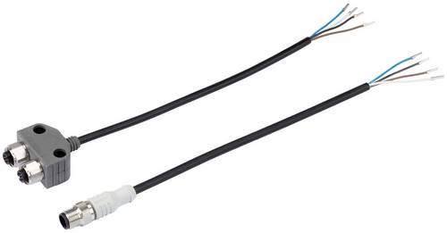 Bürkert Stecker 919061 Polzahl: 8 30 V (max) 1 St.