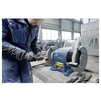 Bosch Professional GBG 60-20 060127A400 Doppelschleifer 600W 200mm Bosch Professional GBG 60-20 060127A400 Doppelschleifer 600W 200mm