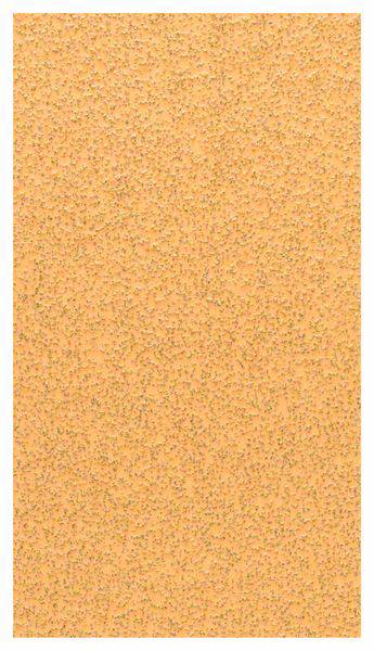Bosch Accessories 2608608Y19 Handschleifpapier Körnung (num) 40 (L x B) 125mm x 70mm 10St.