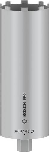 Bosch Accessories 2608601414 Trockenbohrkrone 157 mm 1 St.