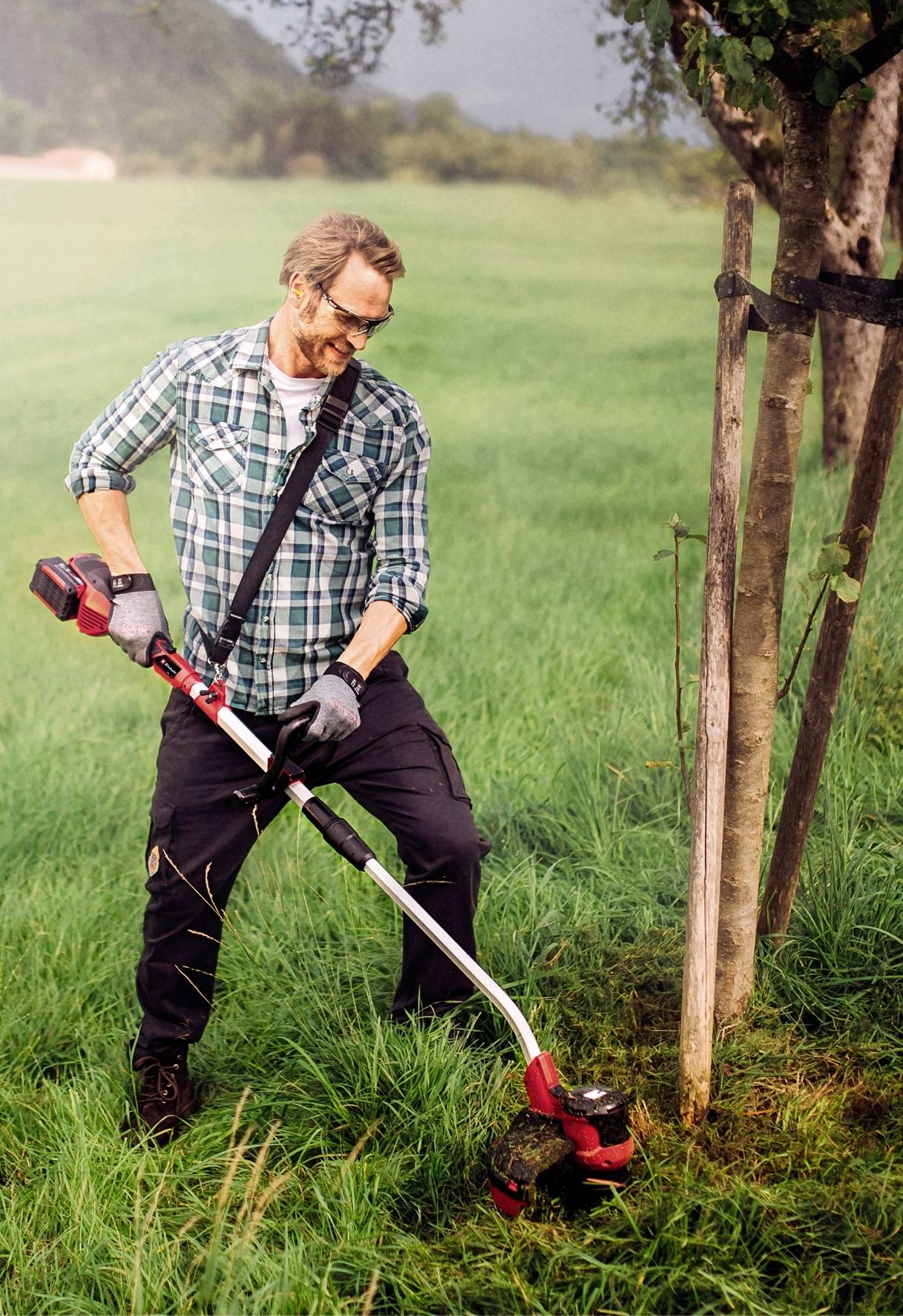 Ein Mann in kariertem Hemd und Sonnenbrille trimmt mit einem elektrischen Rasentrimmer Gras um einen Baum auf einer Wiese.