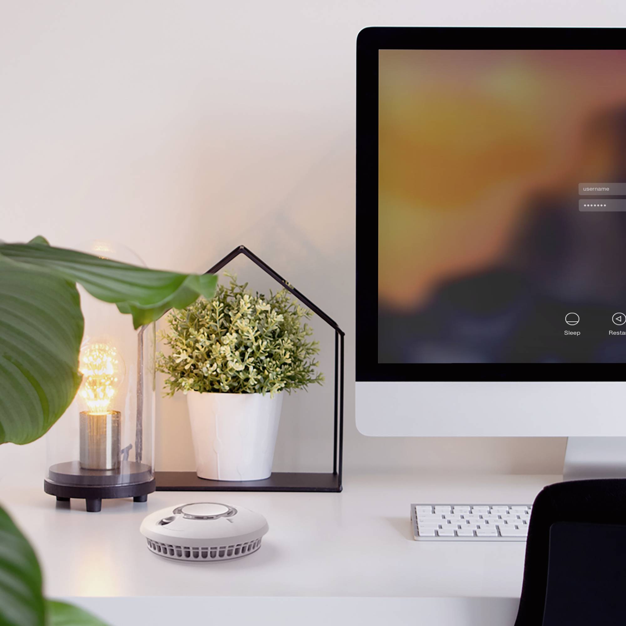 FireAngel Rauchwarnmelder inkl. 10 Jahres-Batterie, auf Funk umrüstbar batteriebetrieben (Ø x H) 130mm x 34mm