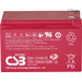 CSB Battery EVH 12150 EVH12150X3 Bleiakku 12V 15Ah Blei-Vlies (AGM) (B x H x T) 151 x 102 x 98mm Flachstecker 6.35mm Zyklenfest