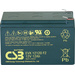 CSB Battery EVX 12120 EVX12120F2 Bleiakku 12V 12Ah Blei-Vlies (AGM) (B x H x T) 151 x 100 x 98mm Flachstecker 6.35mm Zyklenfest