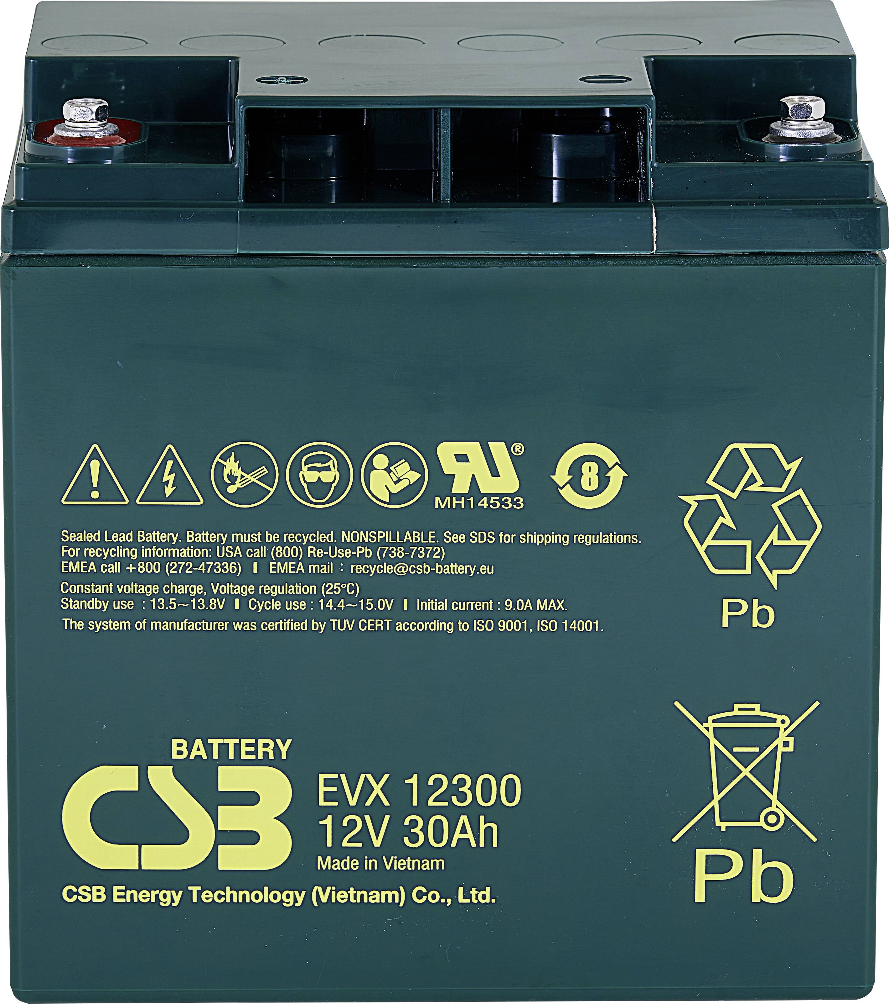 CSB Battery EVX 12300 EVX12300 Bleiakku 12 V 30 Ah Blei-Vlies (AGM) (B x H x T) 166 x 175 x 125 mm