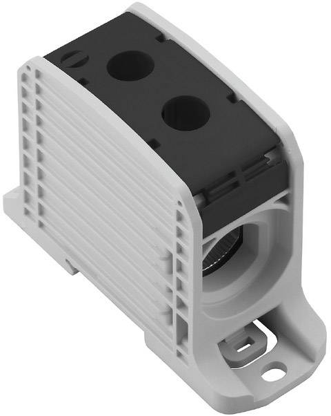 Ein elektrischer Anschlussblock mit zwei Eingängen, geeignet zur Befestigung und Vernetzung von Kabeln in einem Schaltschrank.