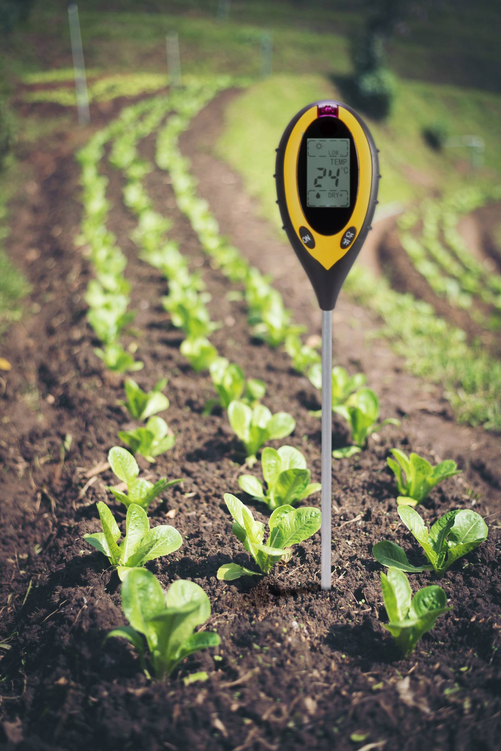 Basetech BT-1678761 Bodenmessgerät