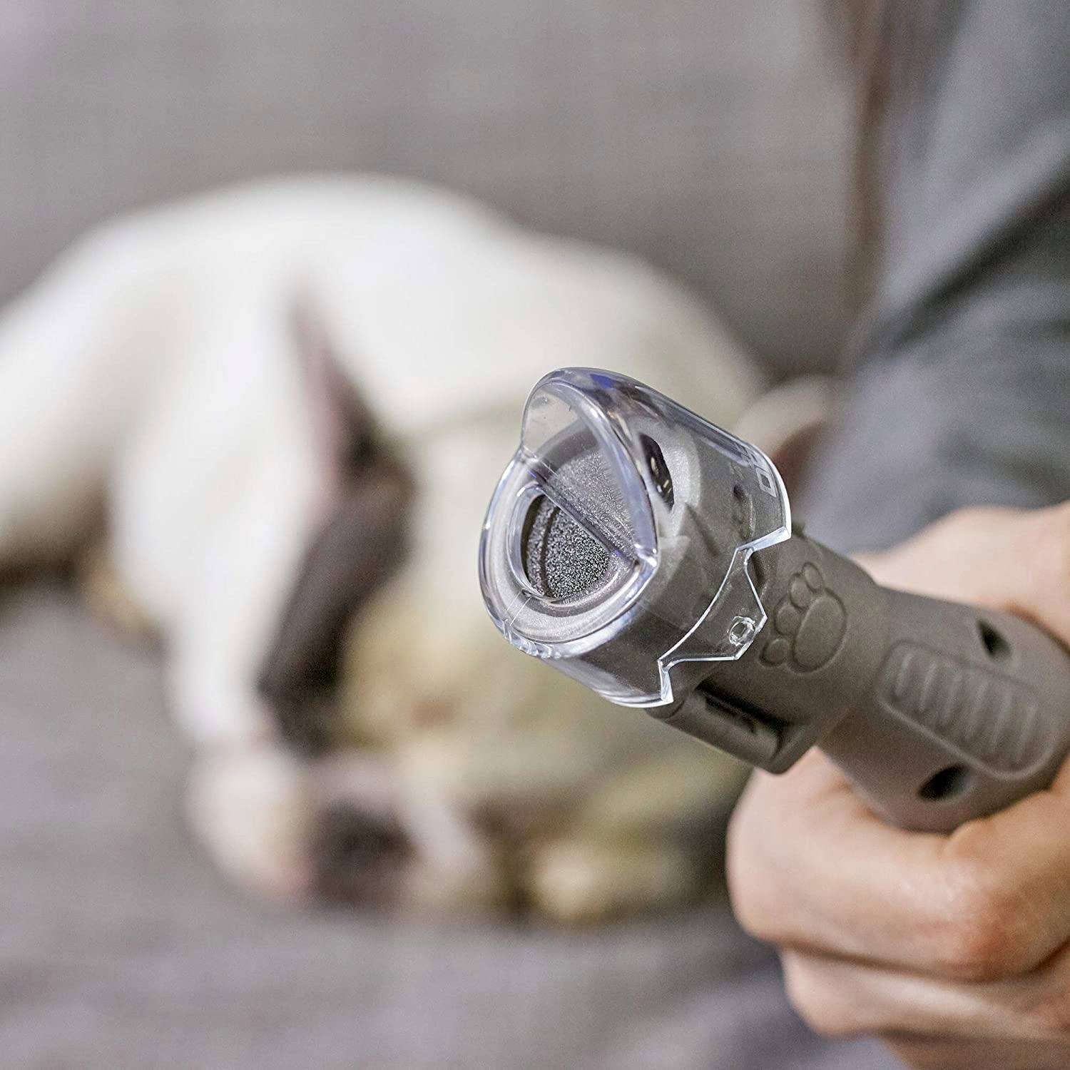 Dremel Pet Nail Grooming Tierkrallenpflege 1 St.