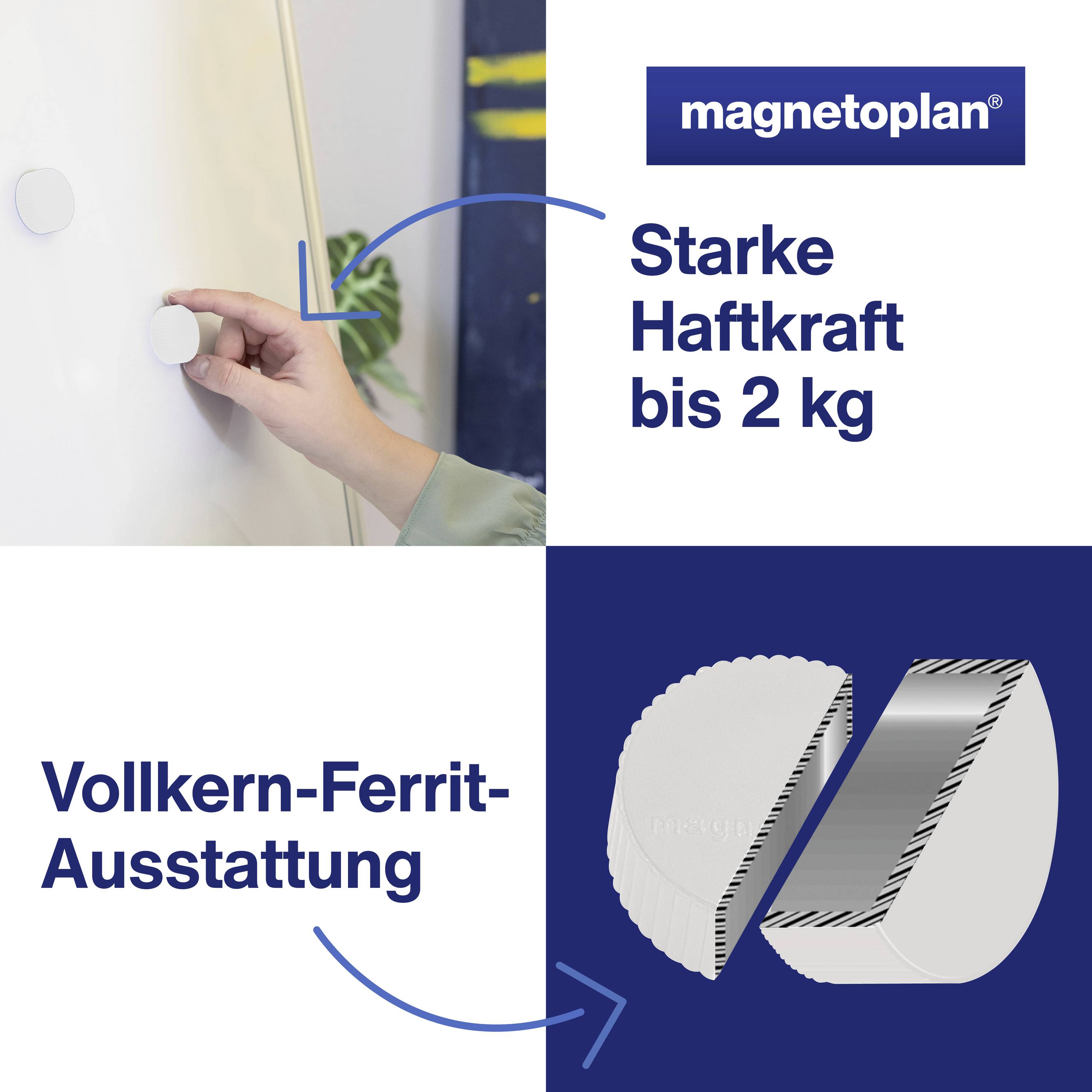 magnetoplan Magnet Discofix Magnum (Ø x H) 34 mm x 13 mm rund Weiß 10 St. 1660000