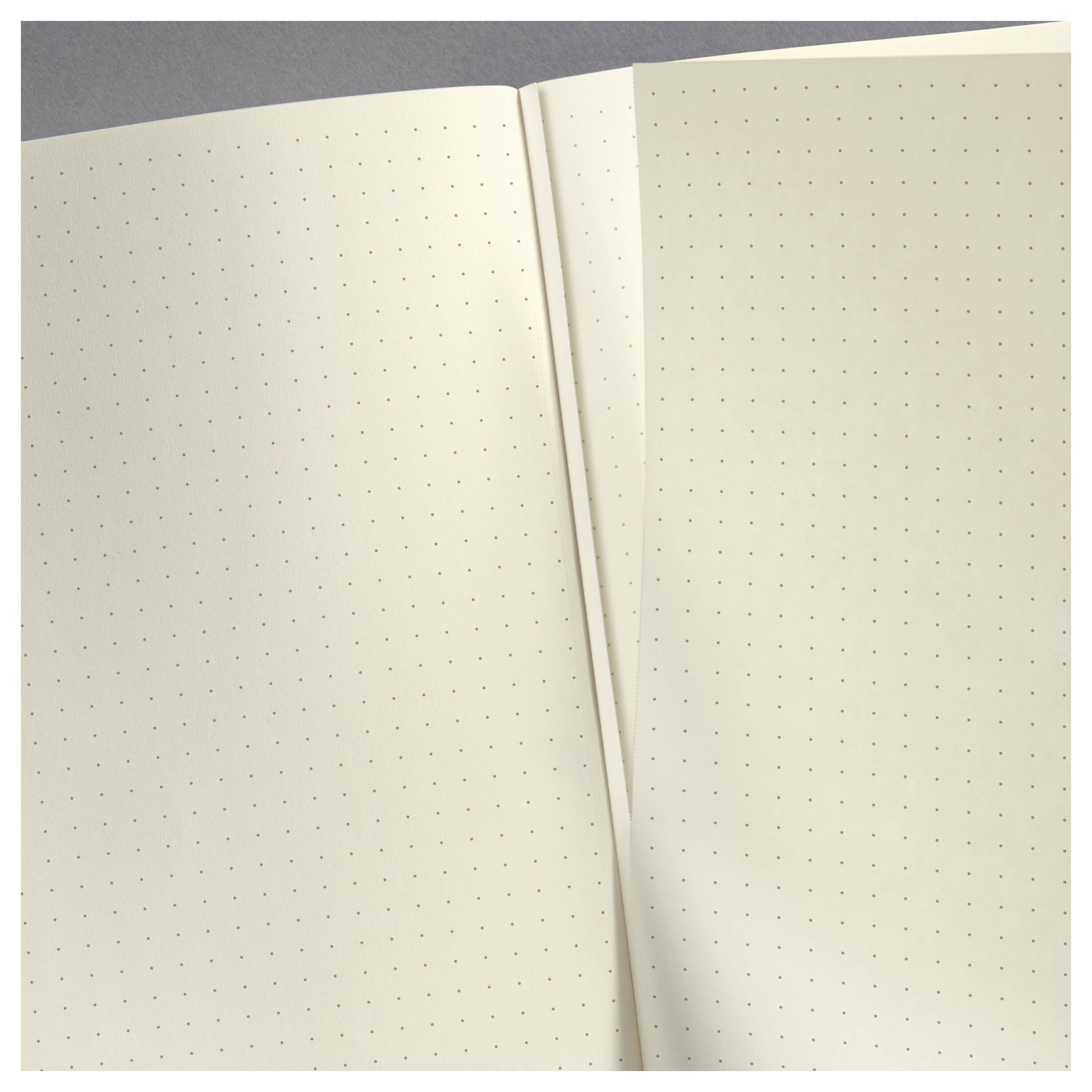 Offene leere gepunktete Notizbuchseite ohne Schrift, zeigt zwei cremefarbene Seiten und Mittelfalz.