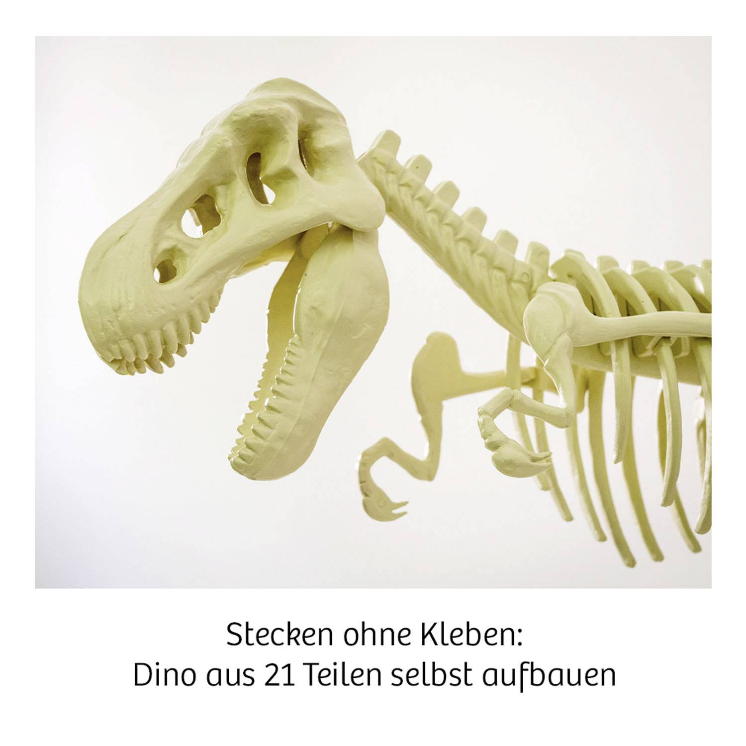 Kosmos 632120 XXL-Skelett Tyrannosaurus Rex Bausatz ab 8 Jahre