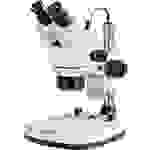 Kern OZL 465 OZL-46 Stereo-Zoom Mikroskop Binokular Auflicht, Durchlicht