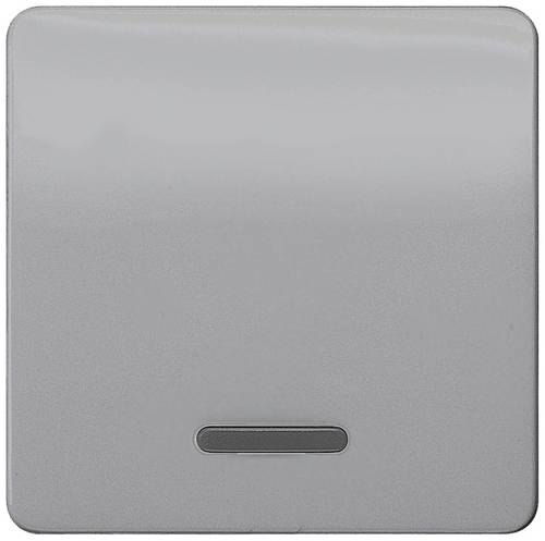 Siemens Schalterprogramm 1fach Silber 5TG7920 1 St.