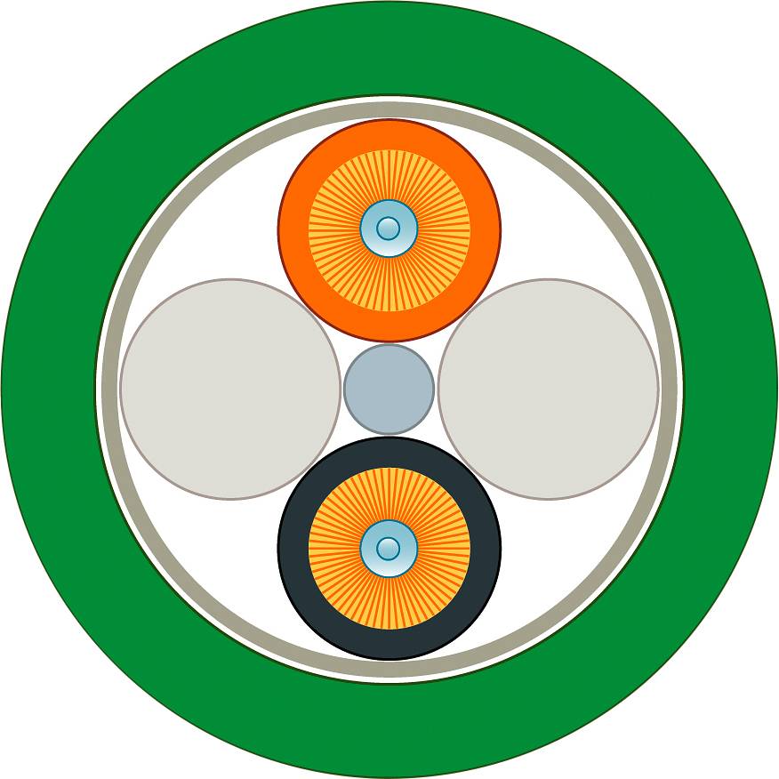Kreisförmiges Diagramm mit einem grünen Rand. In der Mitte befinden sich vier verschiedenfarbige Kreise und ein blaues Zentrum.