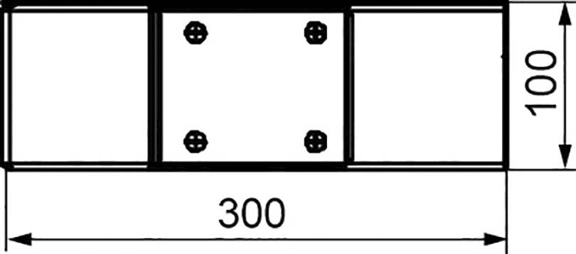 Technische Zeichnung eines rechteckigen Bauteils mit den Maßen 300 x 100 mm und vier Schraublöchern in der Mitte.