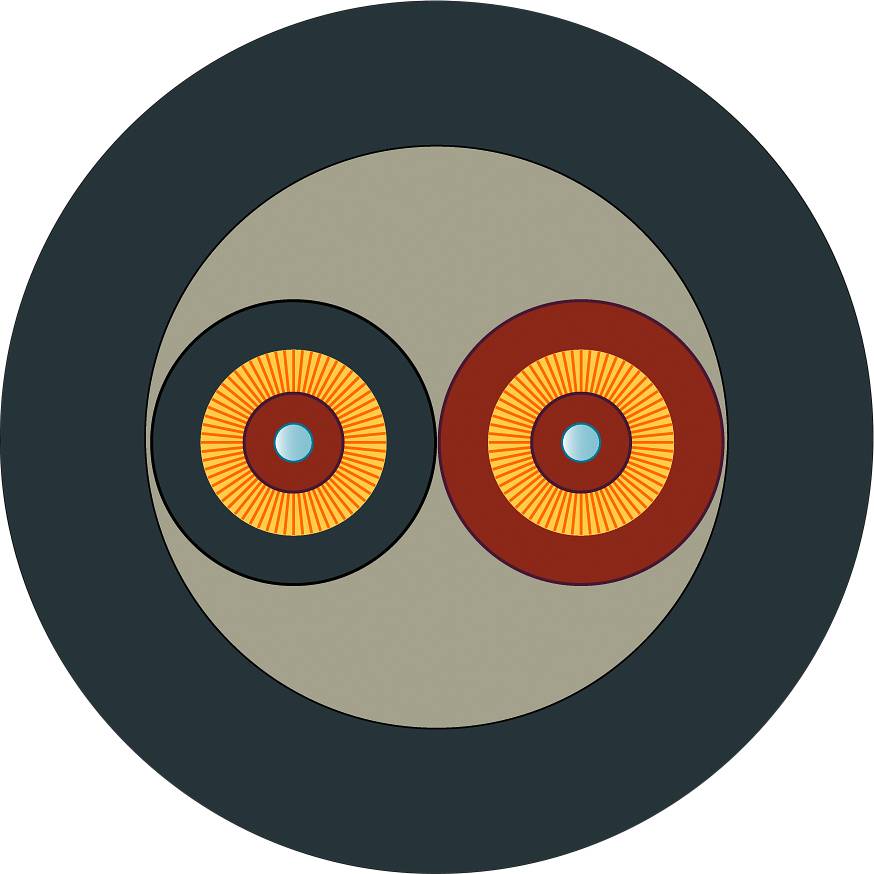 Abstraktes Kunstwerk mit zwei nebeneinanderliegenden Kreisen, orange und rot. Beide Kreise haben blaue Mittelpunkte, auf dunkelgrauem Hintergrund.