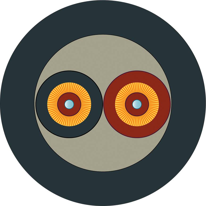 Zwei konzentrische Kreise, der linke orange und der rechte rot, auf grauem Hintergrund innerhalb eines dunkleren Kreises.