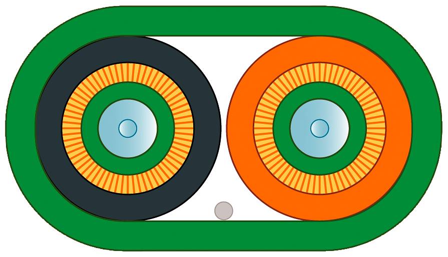 Abstraktes Design mit zwei großen, konzentrischen Kreisen in Schwarz und Orange, umrandet von einem grünen Oval, erinnert an Augen.
